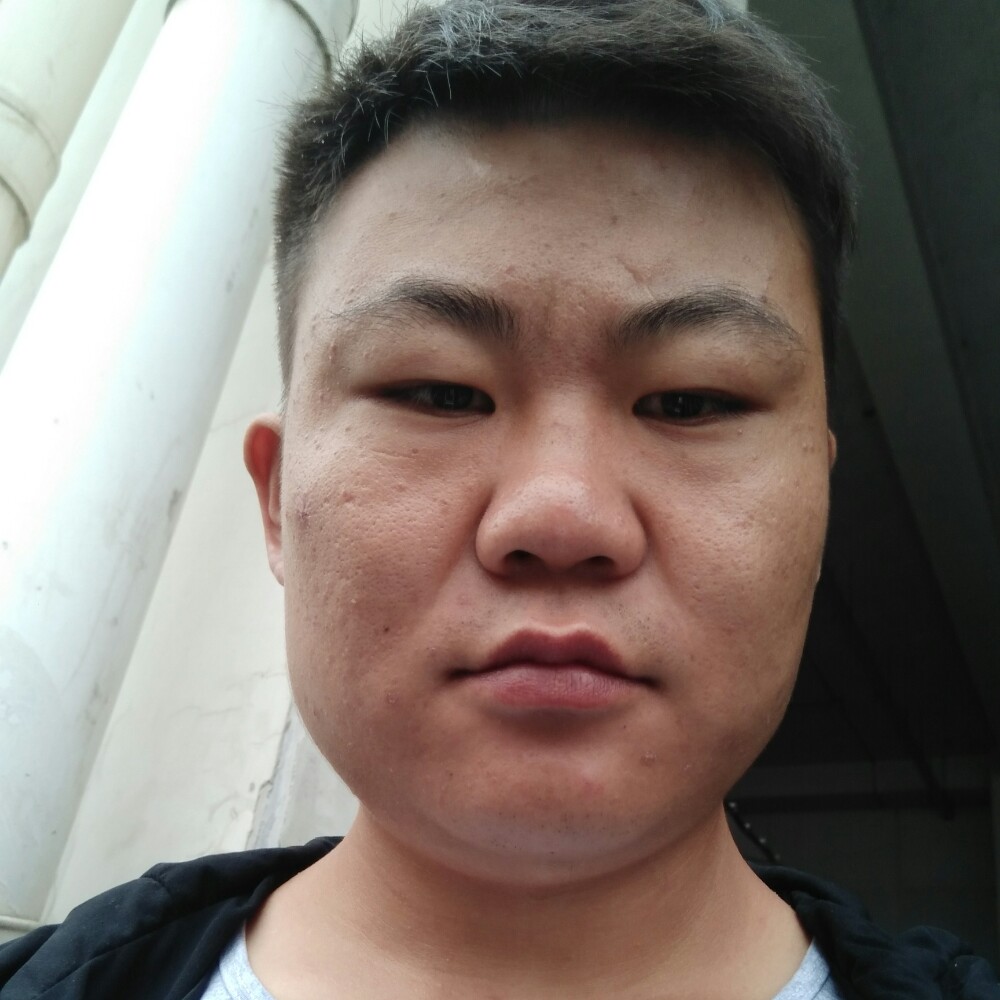 痴情鲜花的照片