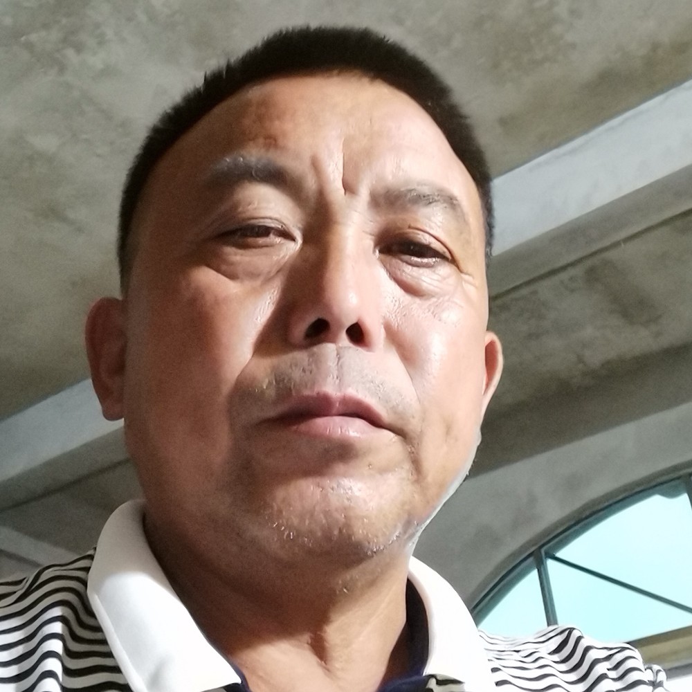 小鸭子停止妖娆的照片