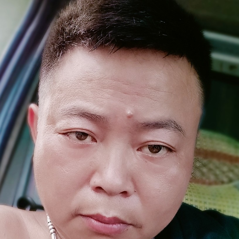 紫色花开的照片