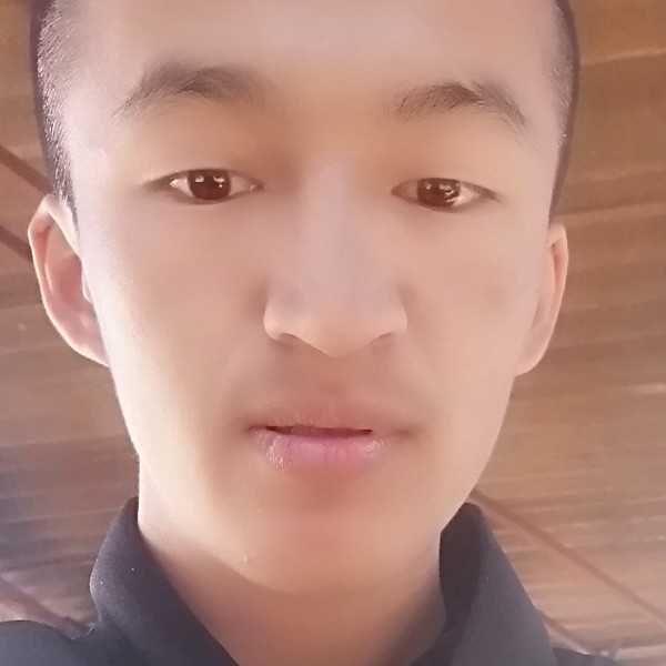 水木贵的照片