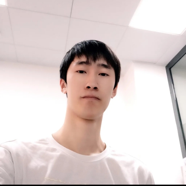 不会飞的普通人的照片