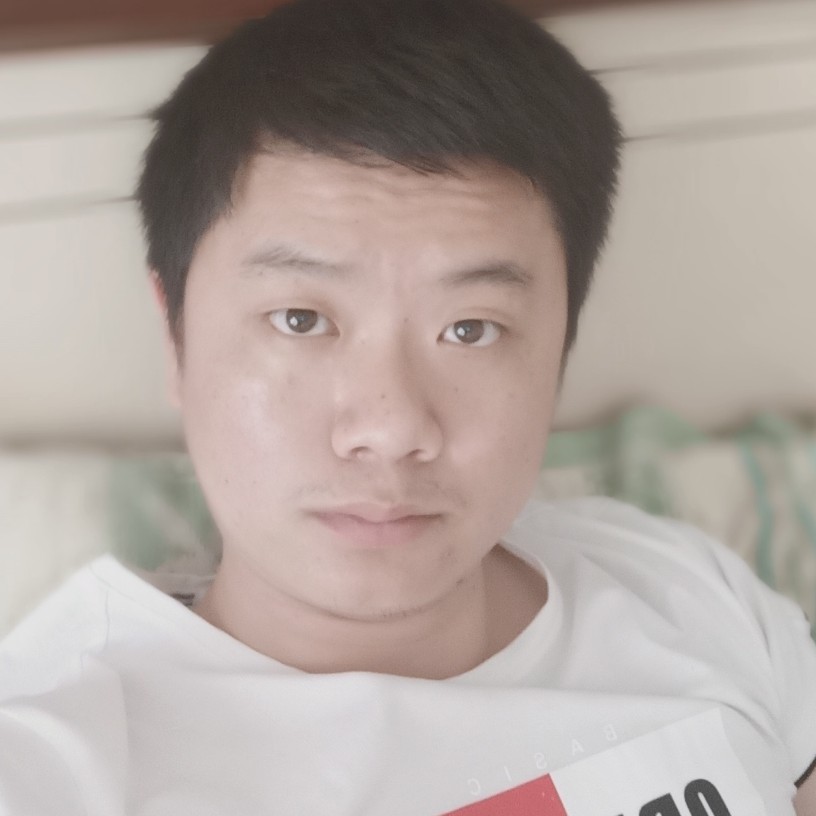 斑马等待的照片
