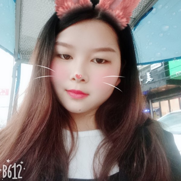玫瑰烂漫的照片