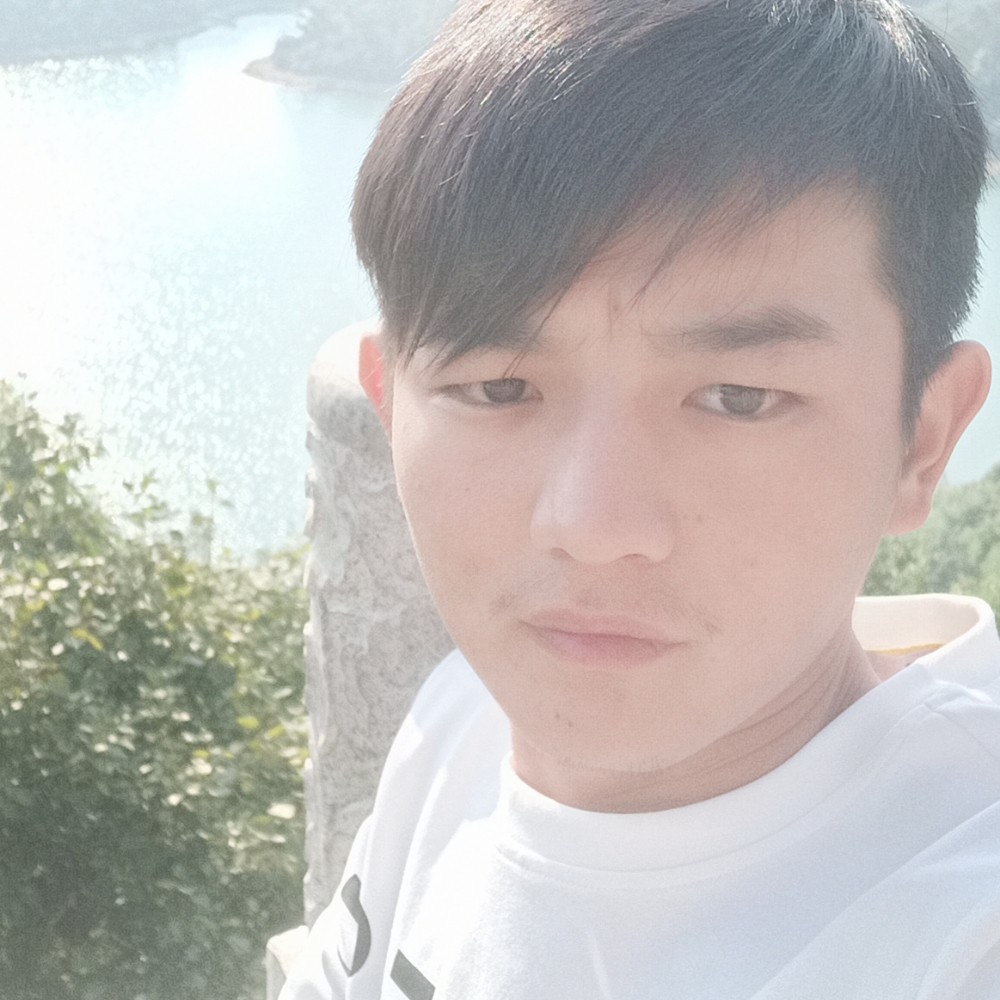 火车内向的照片