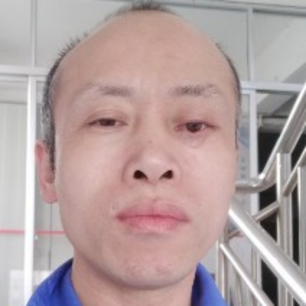 孤独爱恋向日葵的照片