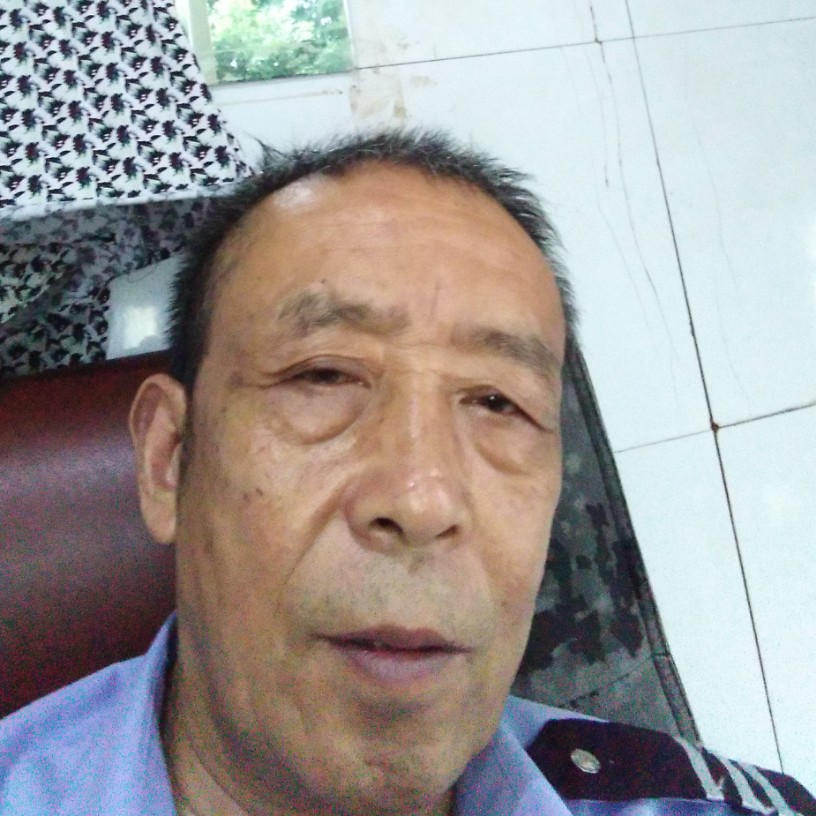 大象感性的照片