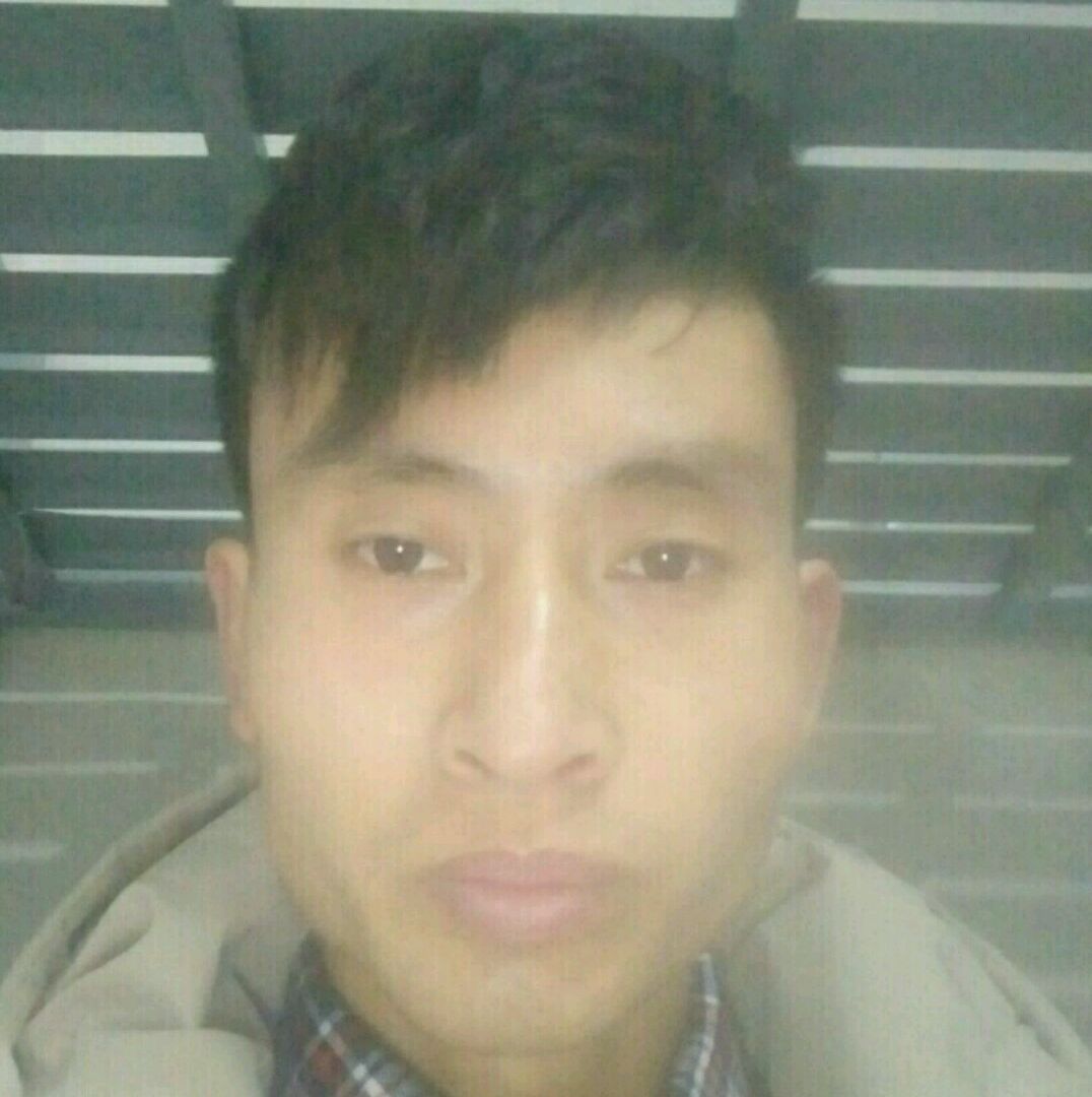 呆萌路灯888的照片
