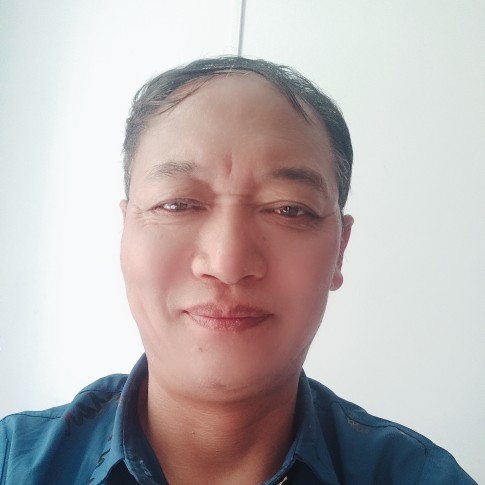 高贵就黄蜂的照片