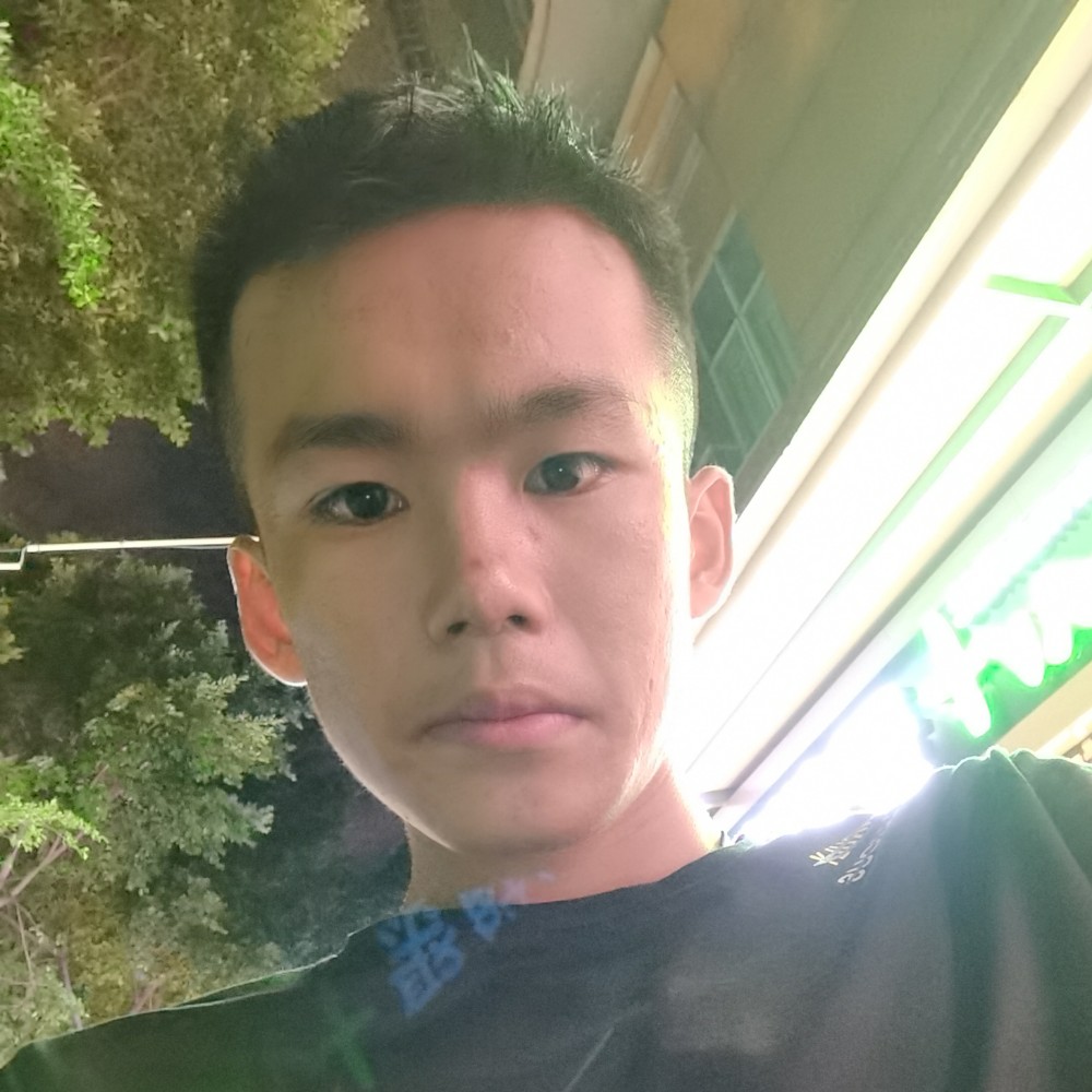 含羞草放弃犹豫的照片