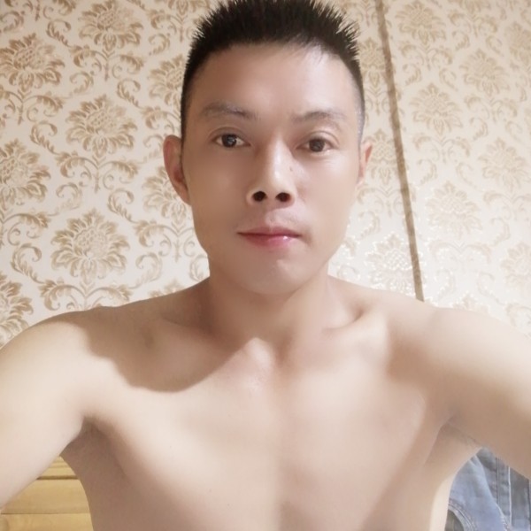 土豆的照片