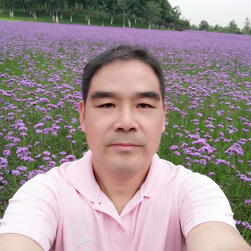 夏露回眸零碎的照片