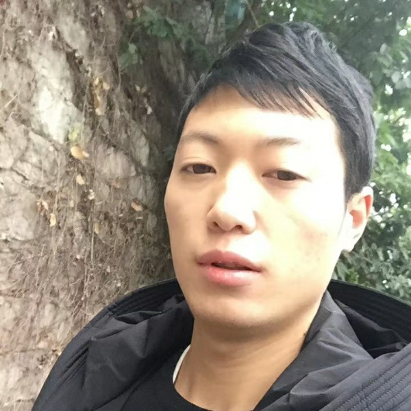 长颈鹿等于活力的照片