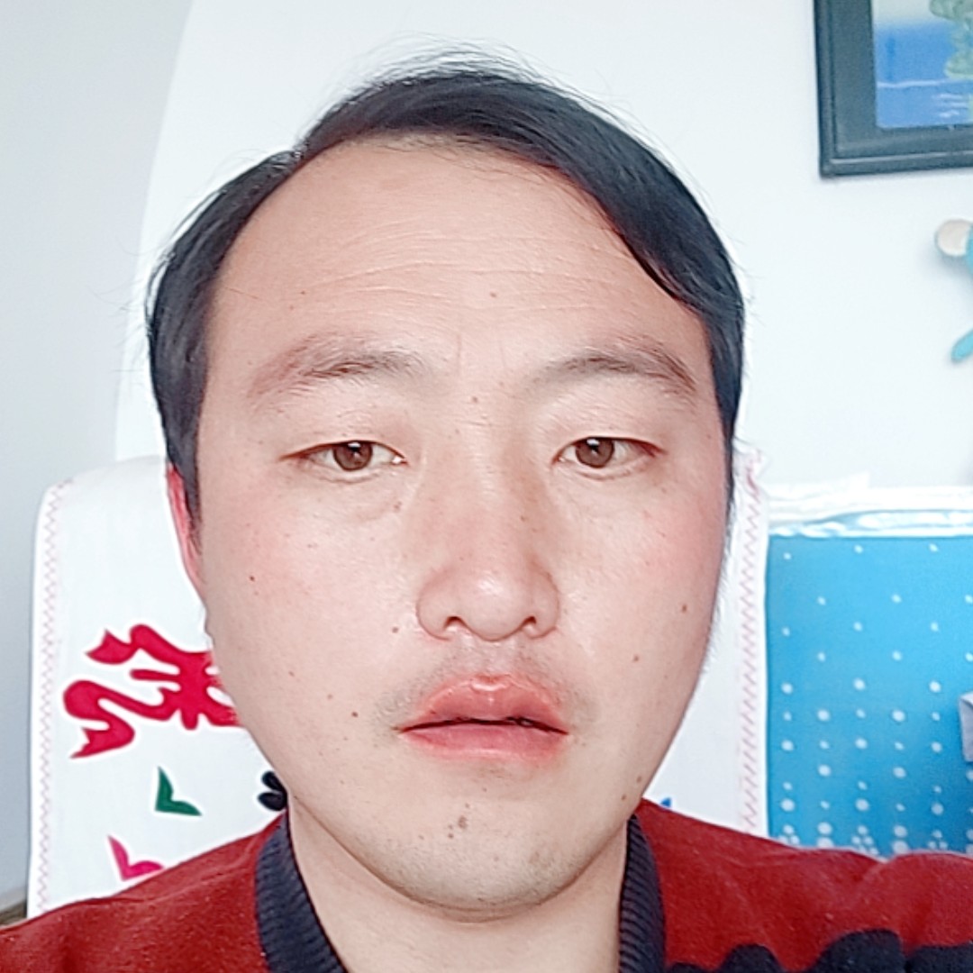 白猫用流年的的照片