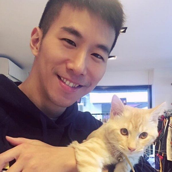猫咪先生。的照片