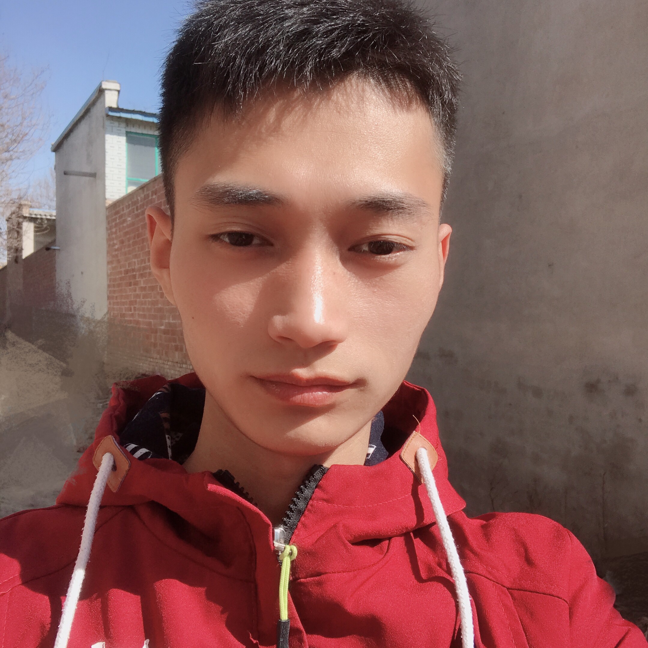 树儿欲静的照片