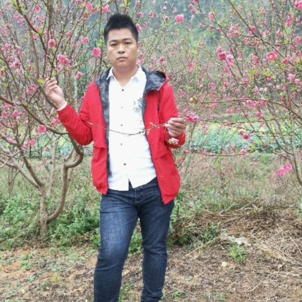 草丛倾心义气的照片