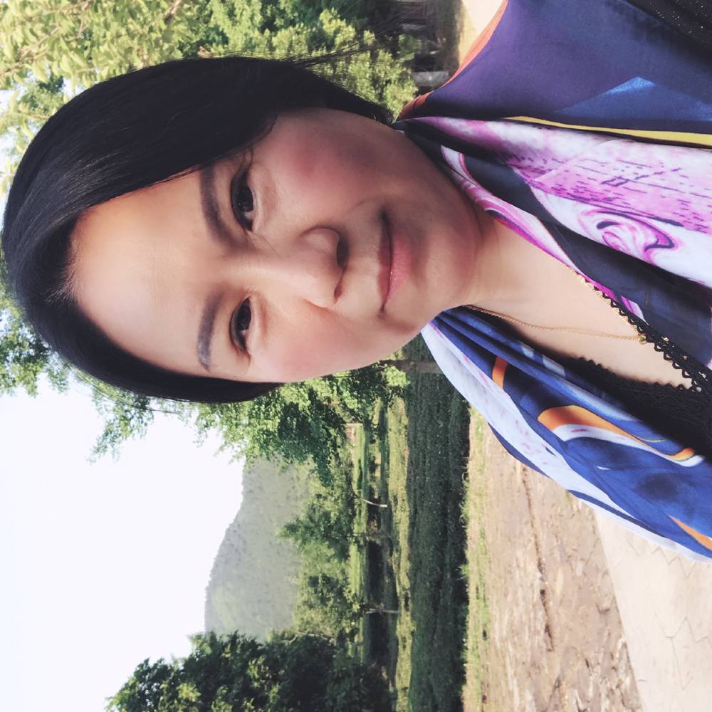 多彩蝴蝶的照片
