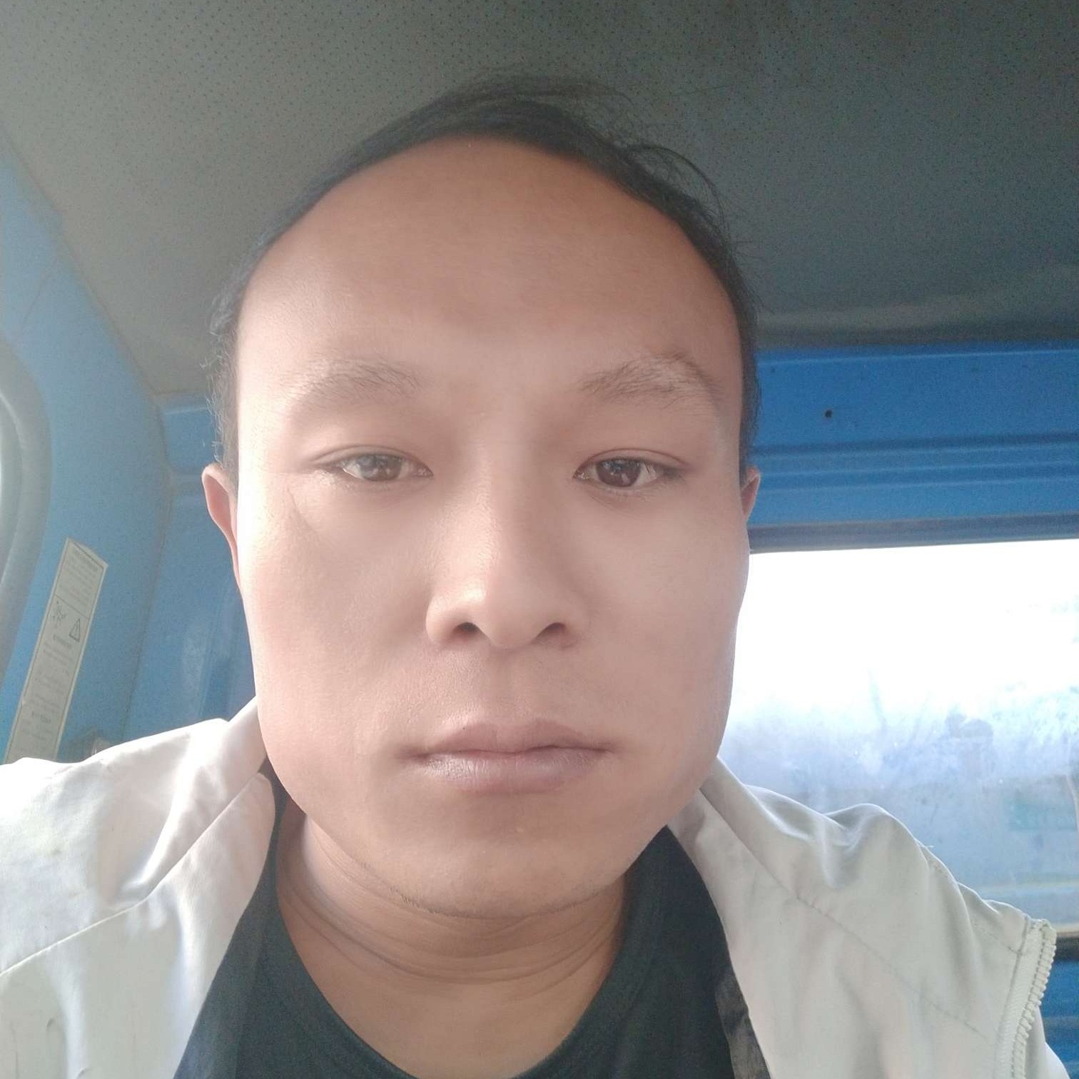 小鸭子的懵懂的照片