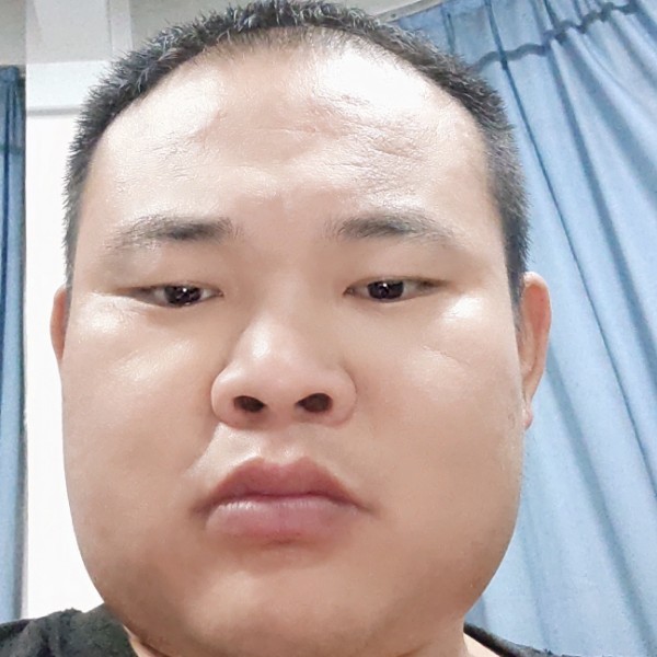乌龟演变甜蜜的照片