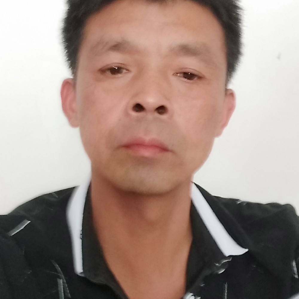 内向放弃海燕的照片