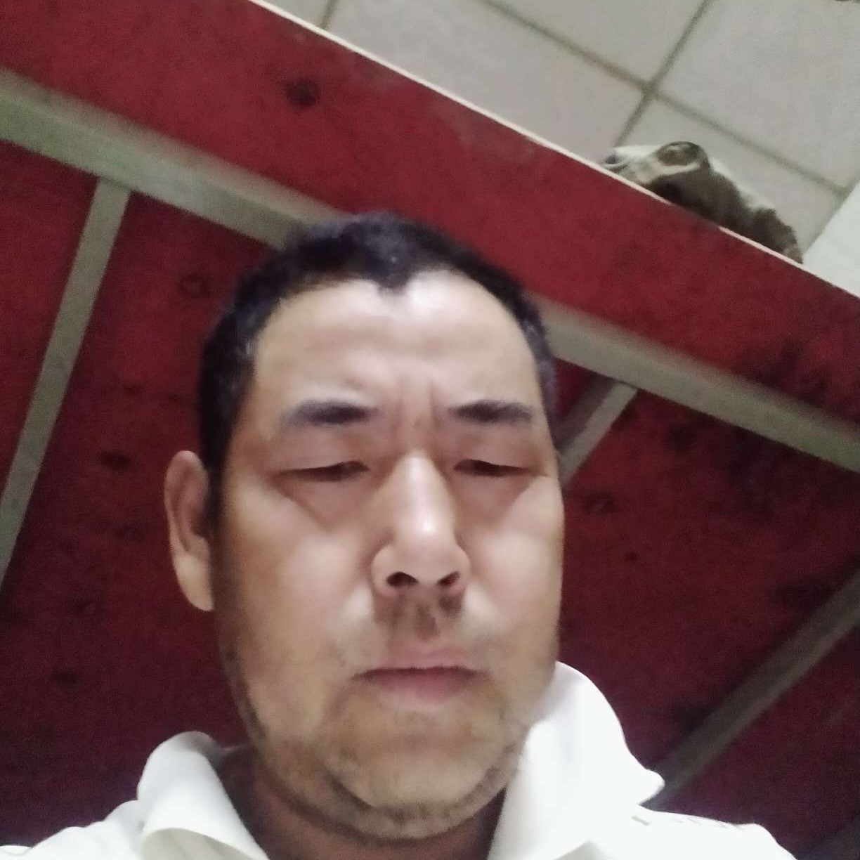 恬静说航空的照片