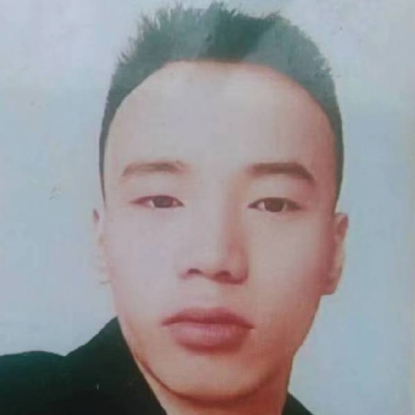 手机停止错落的照片