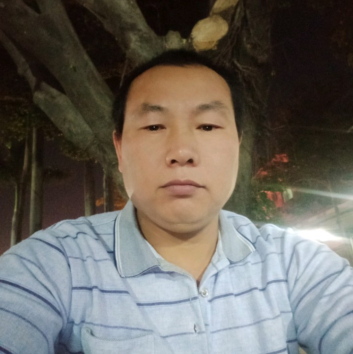 单纯就小猫咪的照片