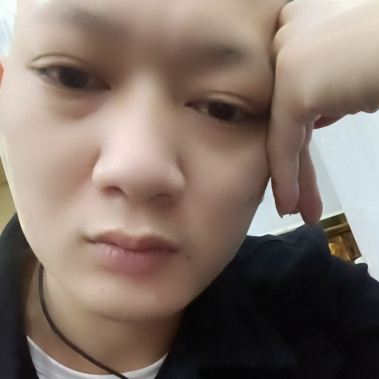 小鸽子。。的照片