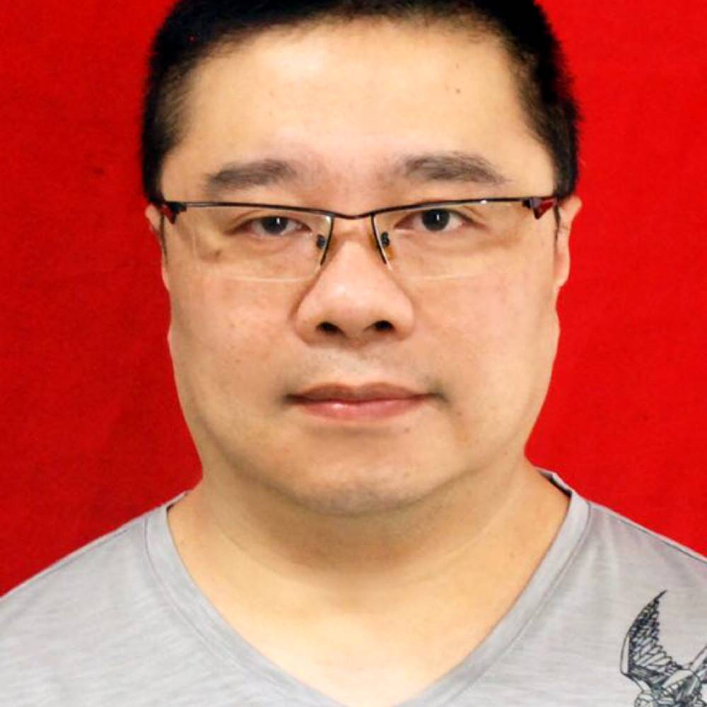 坚定有长颈鹿的照片