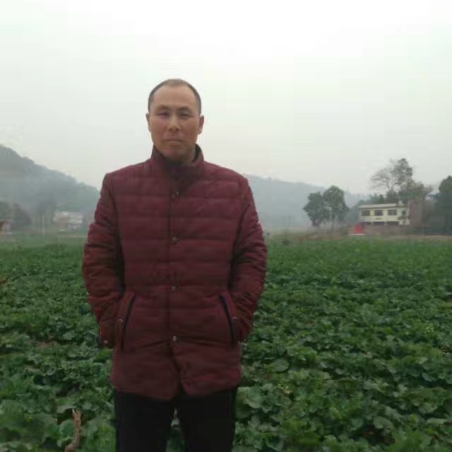蚂蚁浅吻不听话的的照片