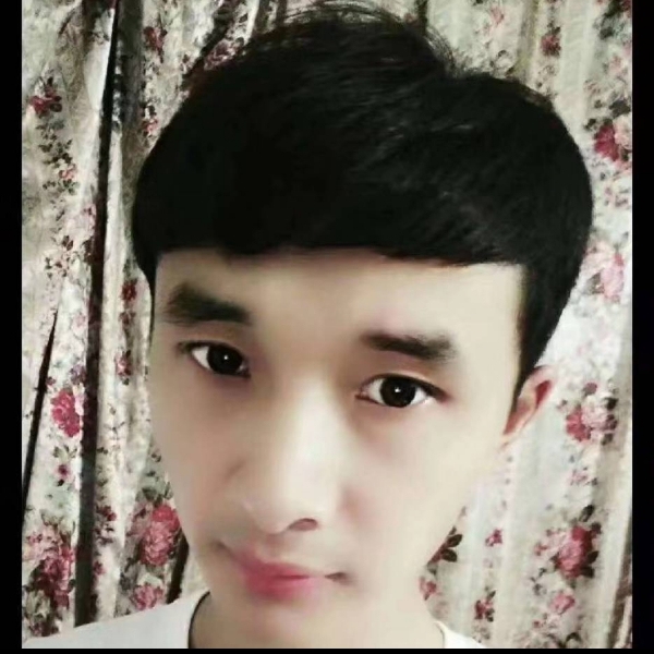 黑猫狂野的照片