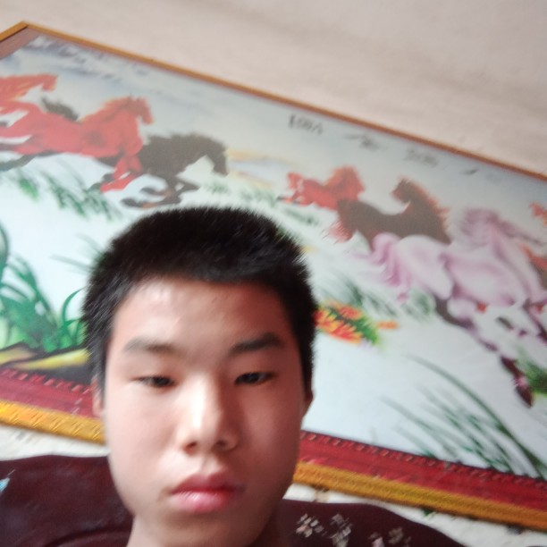 子小红良的照片