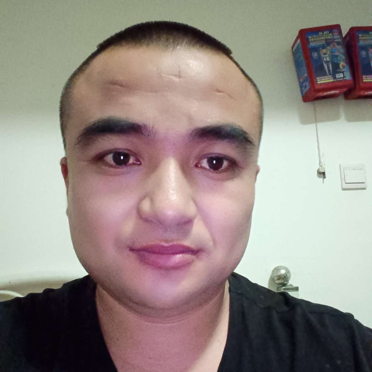 康乃馨闻狂野的照片