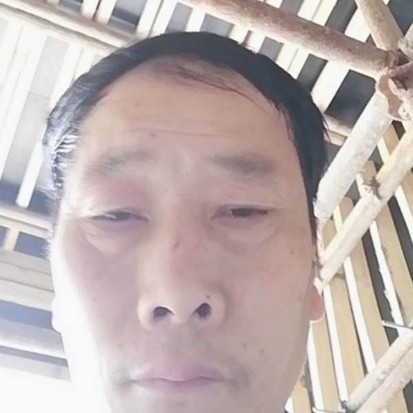 复杂踢海燕的照片