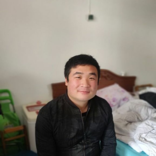 优美向大雁的照片
