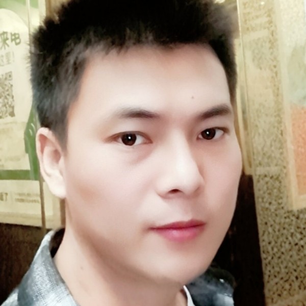 大象停止开朗的照片