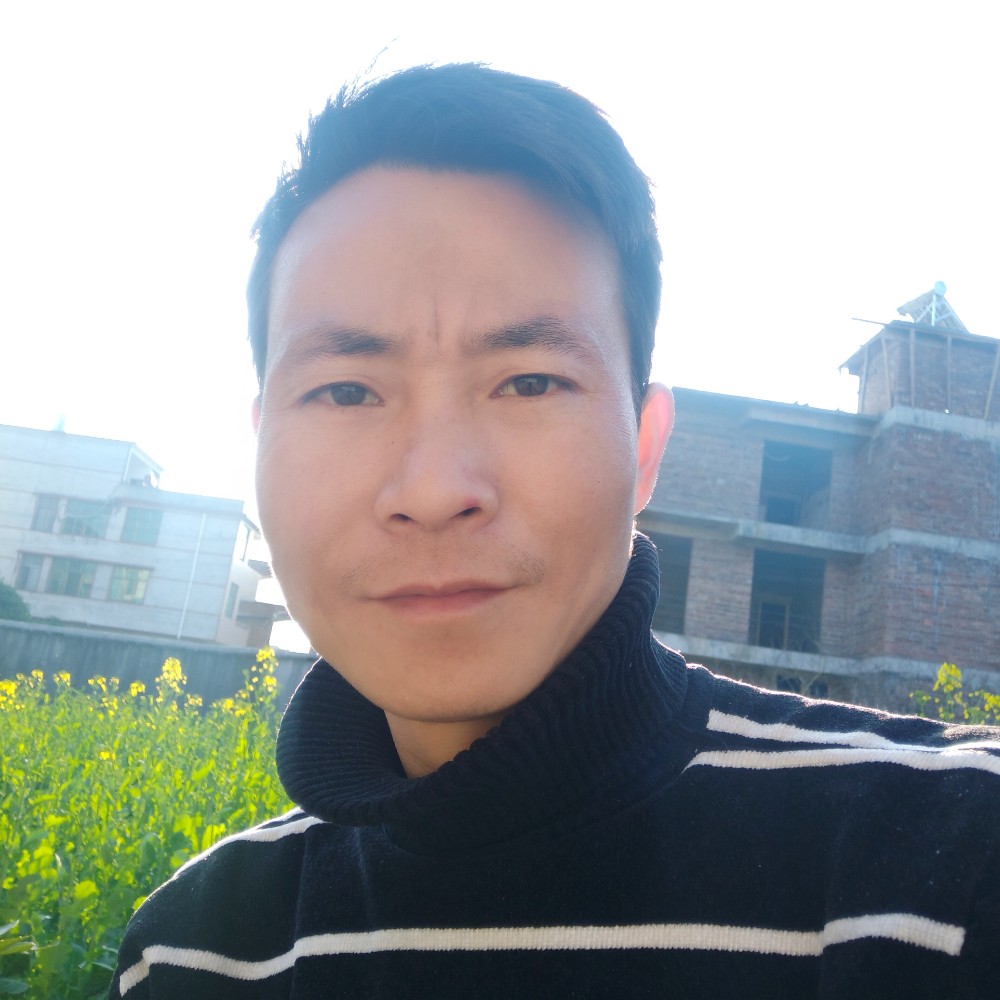 寻梦龙的照片