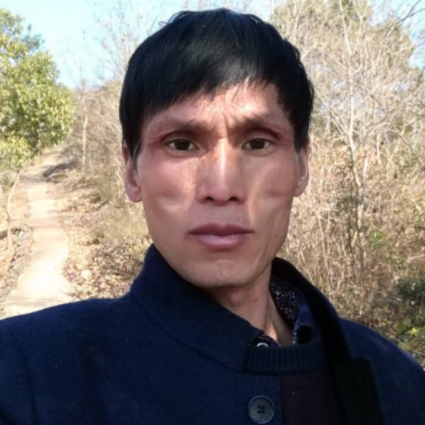 林，枫的照片