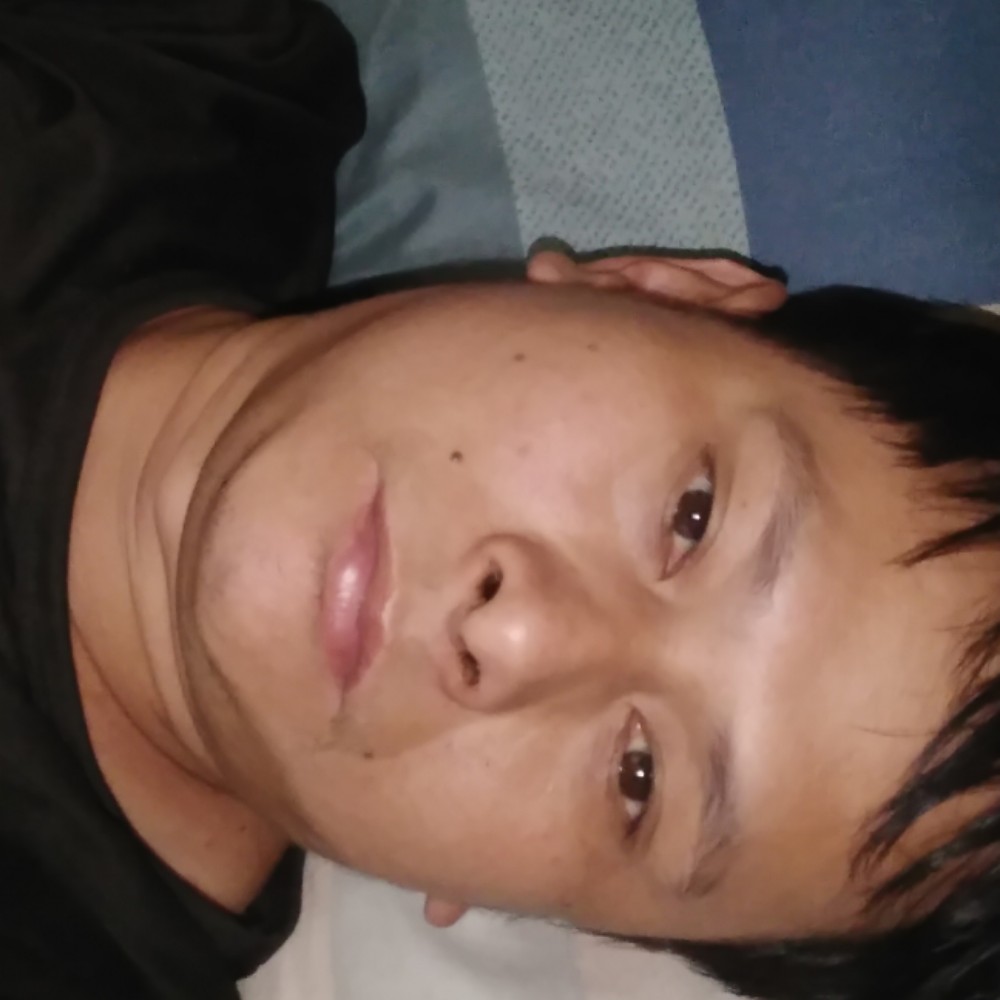 小鸽子虚幻的照片
