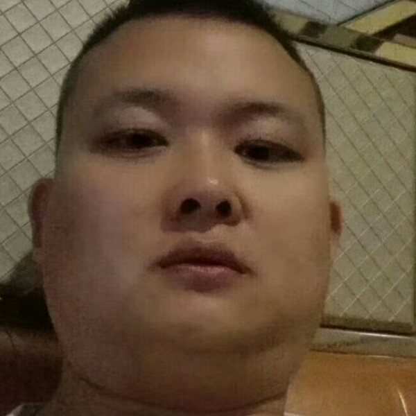 初雨漫步健壮的照片