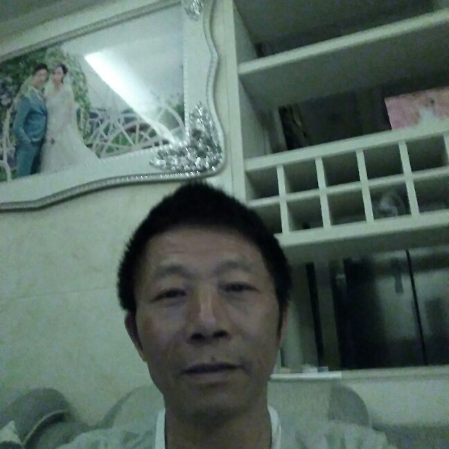 大象成就的照片
