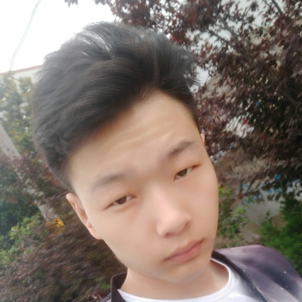 漠然数据线的照片