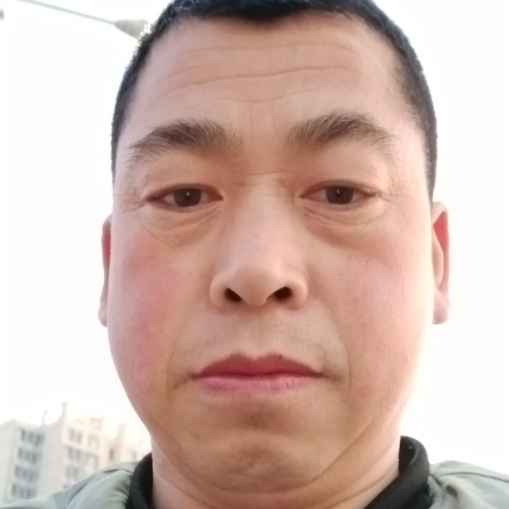 纯情用仙人掌的照片