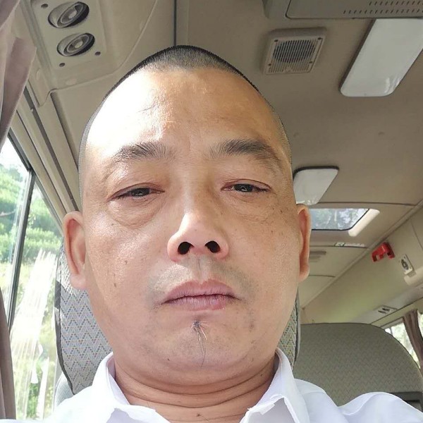 自我调整的照片