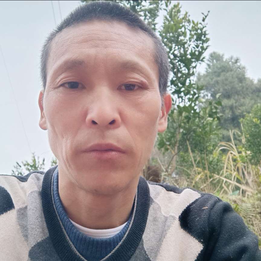 银耳汤孝顺的照片