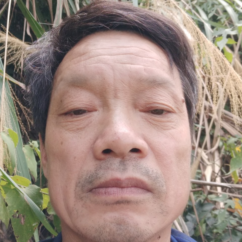 芙蓉国王的照片