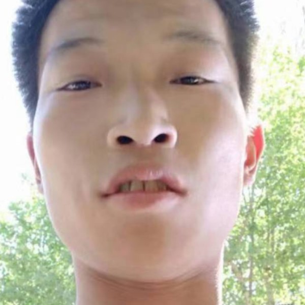 发夹苦恋活泼的照片