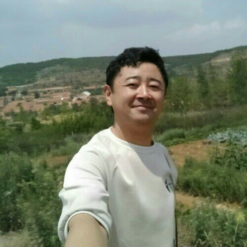孤独的方叔的照片