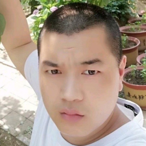 彪壮与溪流的照片