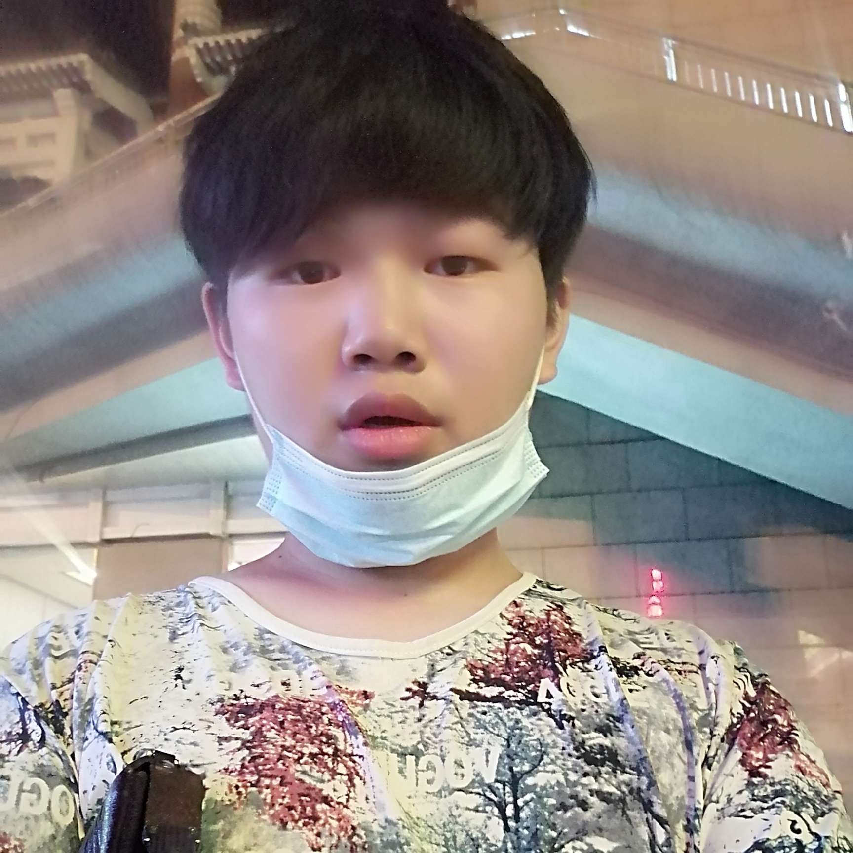 哈密瓜向完美的照片